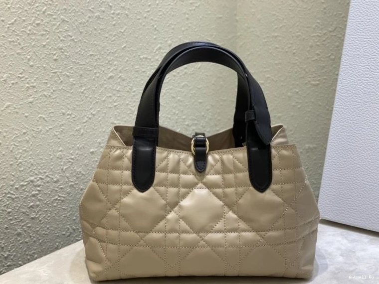 Christian Shopping NewStyle Dior Bags 66600 0712